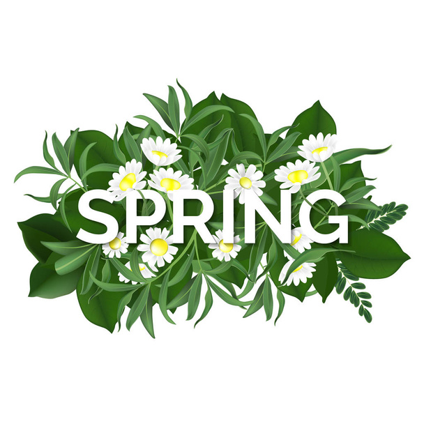 spring background. green natural concept. vector - Vektör, Görsel