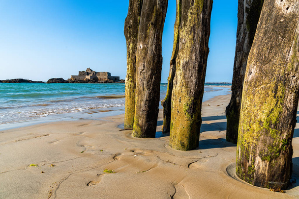 Wooden Poles outside Saint Malo walls at low tide - Photo, Image