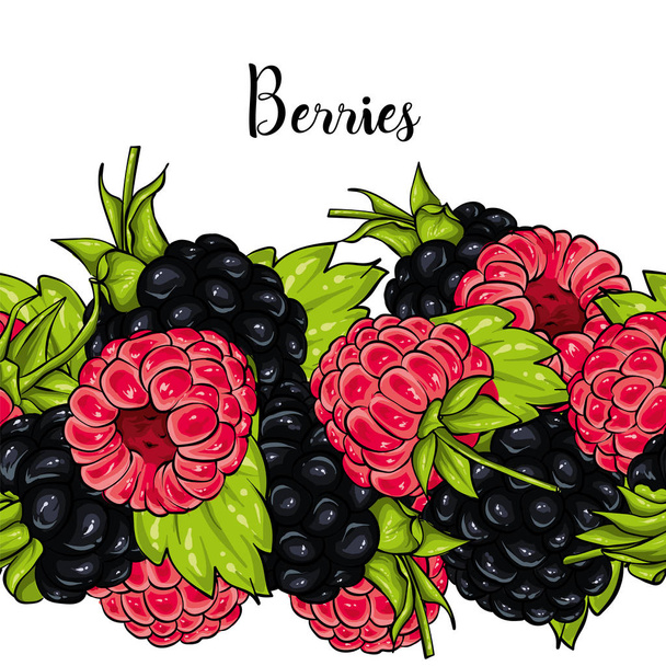Beautiful ripe raspberry and blackberry. Vector illustration. Berries and fruits, summer. Wreath.  - Vector, Image