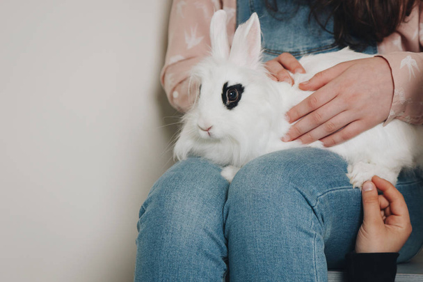 Girl holding white rabbit - Фото, изображение