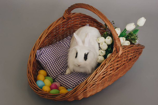White fluffy rabbit in basket with flowers and Easter eggs - Foto, imagen