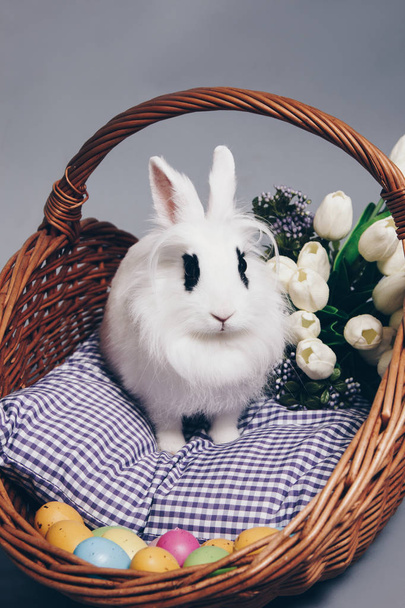 White fluffy rabbit in basket with flowers and Easter eggs - Fotoğraf, Görsel