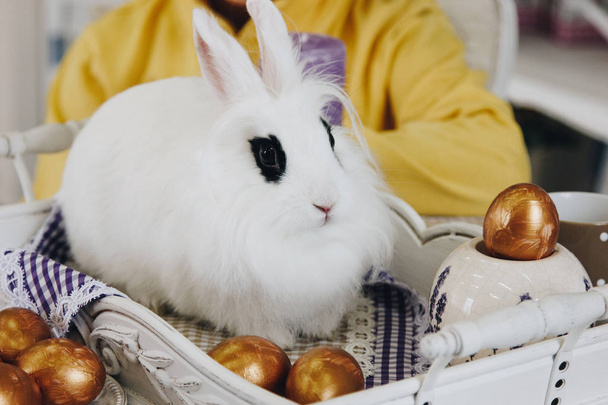 White fluffy rabbit with golden Easter eggs - Fotoğraf, Görsel