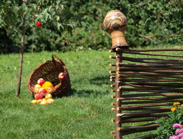 una brocca di argilla pende su un recinto di ramoscello su uno sfondo di erba verde, su cui si trova un cesto di vimini invertito e mele sono sparsi
 - Foto, immagini