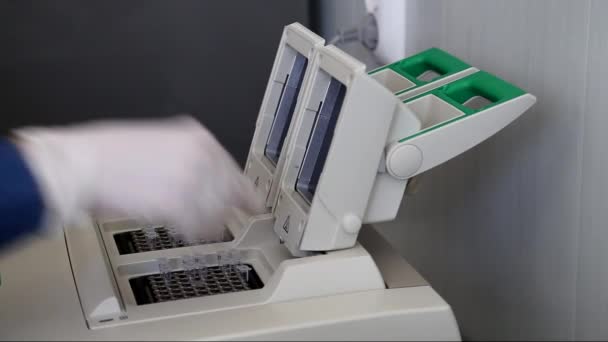 Wissenschaftler mit behandschuhter Hand legt DNA-Probe in Echtzeit-PCR-Cycler - Filmmaterial, Video