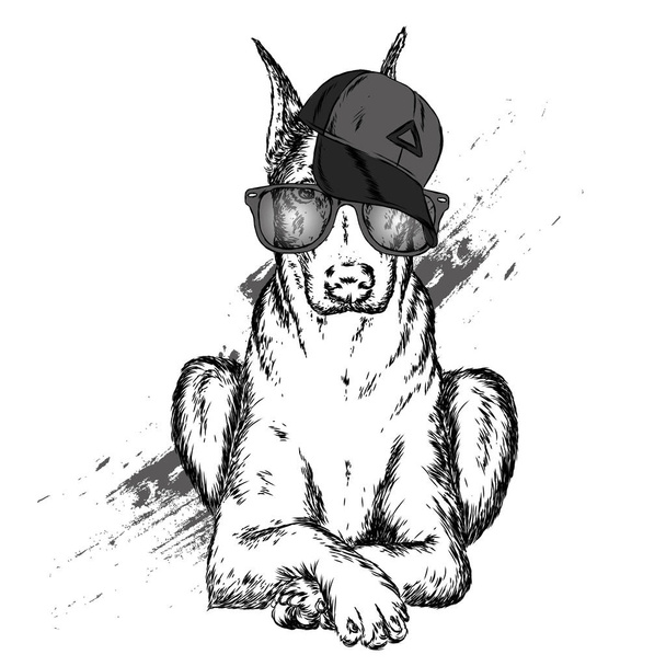 Netter Hund mit Mütze und Brille. Vektorillustration. - Vektor, Bild