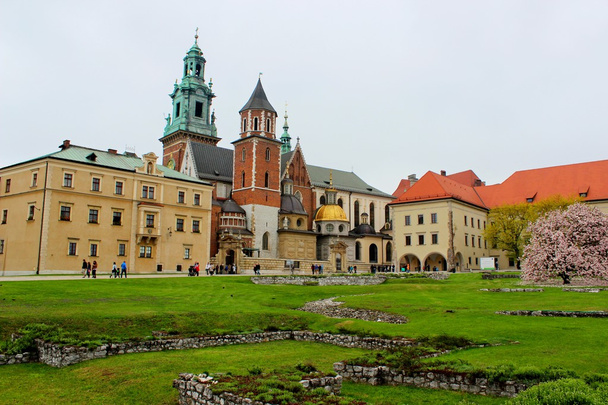 de basiliek van st stanislaw en vaclav of wawel-kathedraal op wawel heuvel in Krakau, Polen - Foto, afbeelding