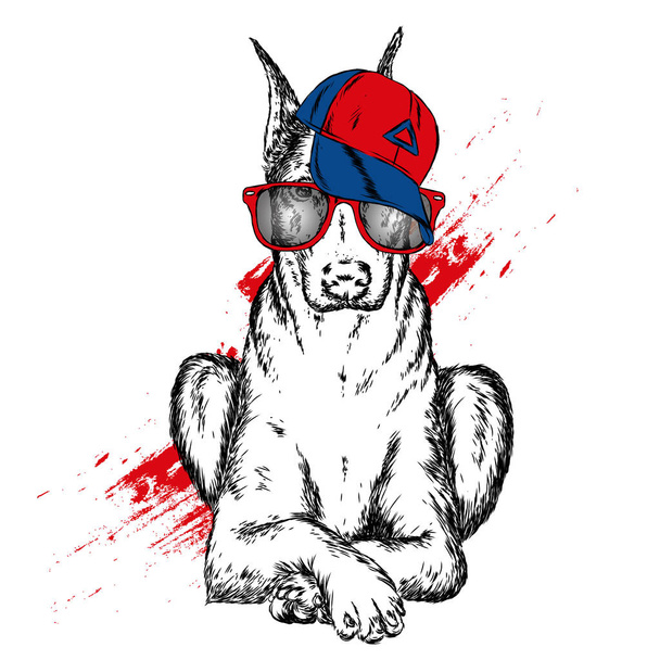 Lindo perro en gorra y gafas. Ilustración vectorial
. - Vector, Imagen