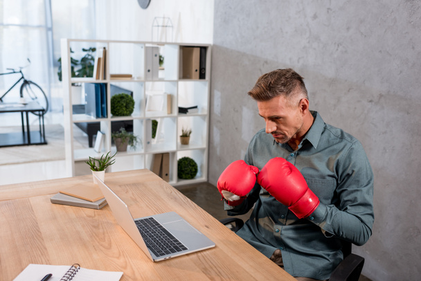 handsome businessman watching championship on laptop while wearing boxing gloves in office - Фото, изображение