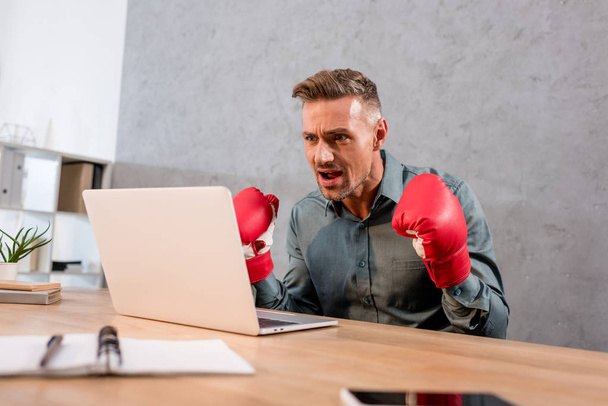 excited businessman watching championship on laptop while wearing boxing gloves in office - Photo, Image