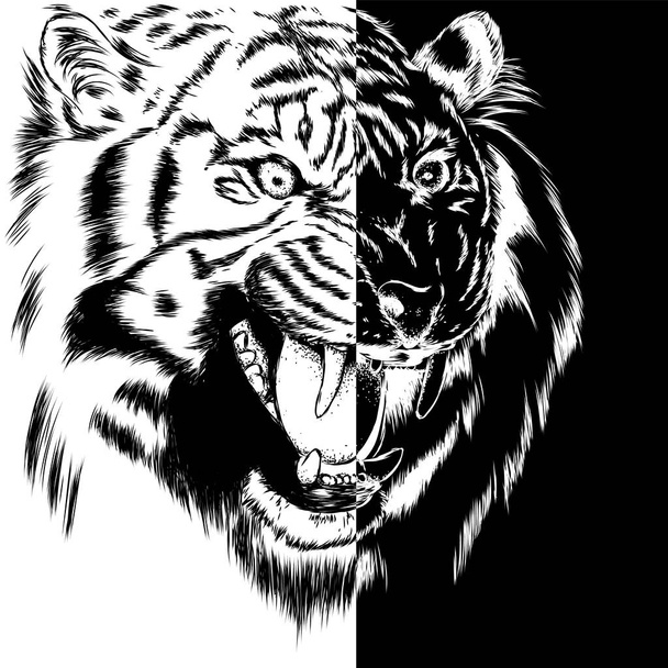 Прекрасный тигр с открытым ртом и клыками. Дикое животное, хищник. Векторная иллюстрация для поздравительной открытки или плаката, печать на одежде. Ручная работа
. - Вектор,изображение