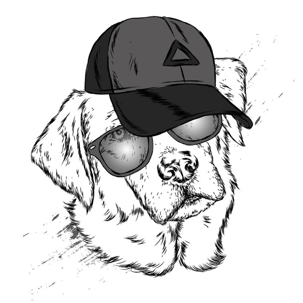 Cute Dog in cap and glasses. Vector illustration. - Vector, Image