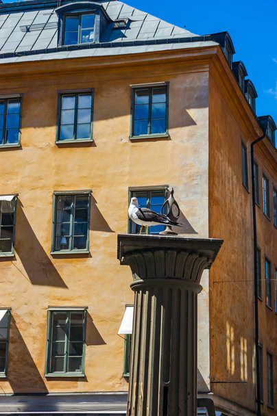 Gaivota sentada na coluna medieval clássica com vibrante fachada de edifício laranja amarelo no fundo em Estocolmo, Suécia
 - Foto, Imagem