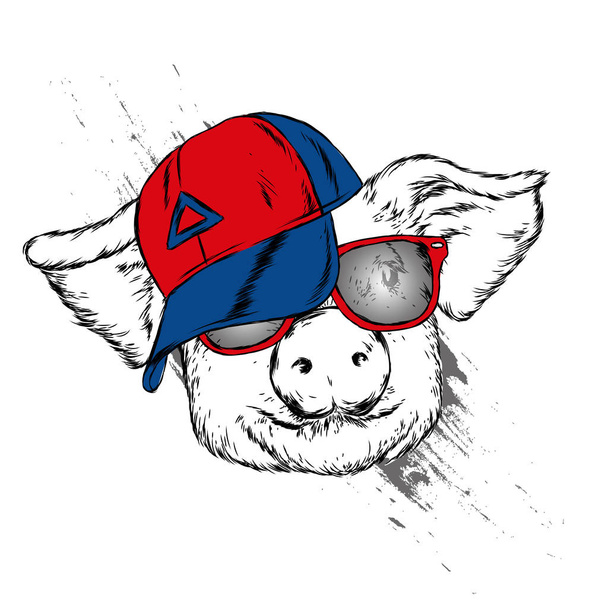 Funny pig in a cap and glasses. Cute pig. Clothes and accessories. Hipster. Vector illustration for greeting card or poster. - Vector, Image