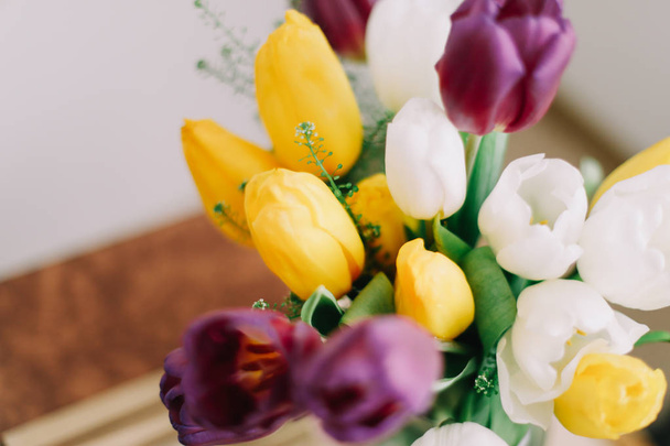 Bouquet of beautiful tulips. Mix of spring tulips flowers. Fresh spring flowers  on white background.  - Zdjęcie, obraz