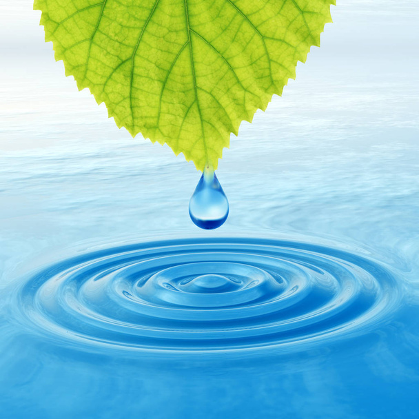 Concept of conceptuele schone bronwater of dew drop vallen van een groene verse blad op 3d illustratie blauw helder water maken van golven - Foto, afbeelding