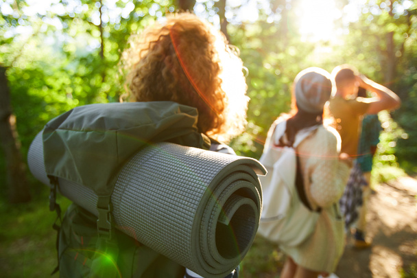 Вид сзади на молодых туристов, ищущих место для кемпинга во время прогулки по лесу
 - Фото, изображение