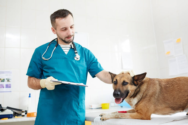 Veterinario con documento coccole cane malato sul tavolo medico dopo il check-up
 - Foto, immagini