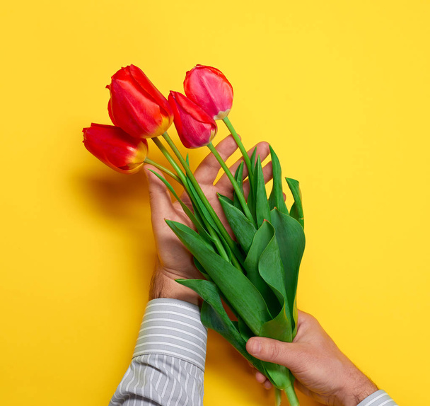 the man holds in hand red flowers bunch, yellow background with blank space - love and holiday concept - 写真・画像