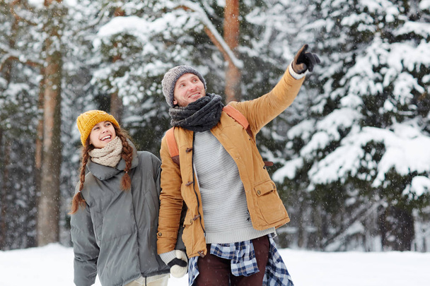 Весела допитлива пара мандрівників у теплих халатах, які вибирають маршрут у лісі: красивий молодий чоловік вказує пальцем, показуючи пташку на дереві взимку
 - Фото, зображення