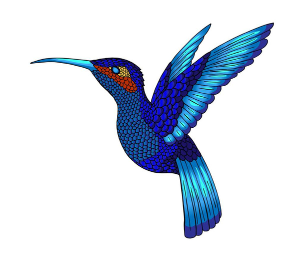Small hummingbird. Exotic tropical colibri animal icon. Sapphire blue feathers - Vector, Image