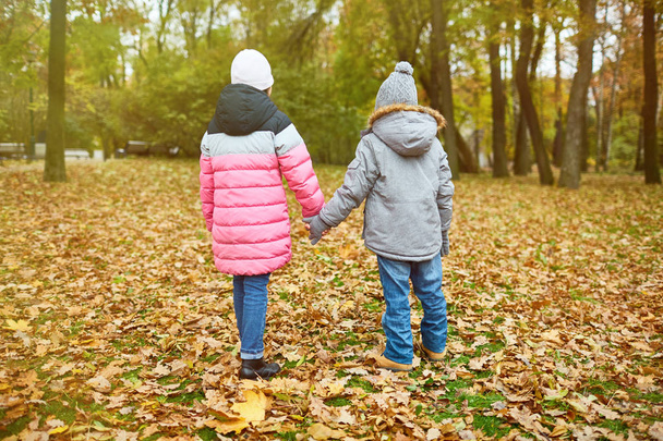 Vue arrière de deux enfants en tenue décontractée chaude se déplaçant vers le bas du sol recouvert de feuilles d'automne jaunes
 - Photo, image