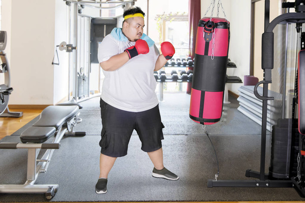 Nuori lihava mies tekee harjoituksia nyrkkeily säkki
 - Valokuva, kuva