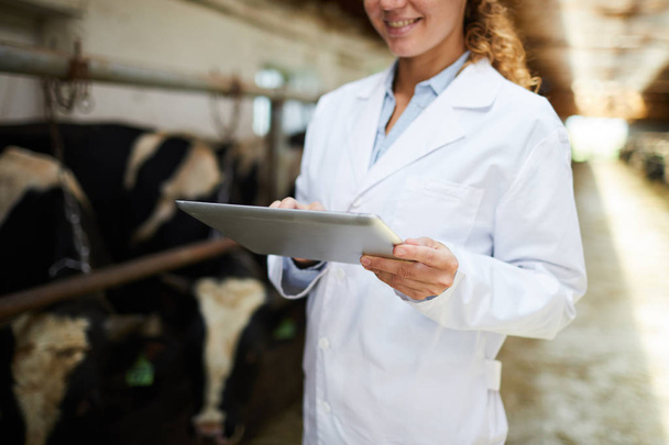 Młody profesjonalista z touchpadem czytający dane online o krowach mlecznych i rozwoju gospodarstw - Zdjęcie, obraz