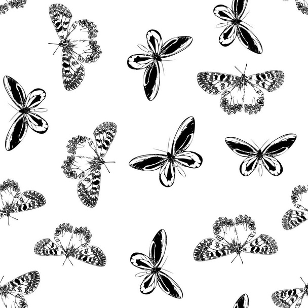 Kelebekler siyah ve beyaz renk güzel sorunsuz arka plan. Yazarın profil birçok benzerlikler - Vektör, Görsel