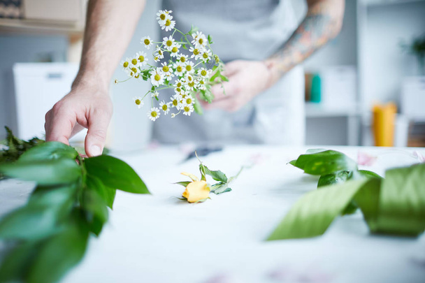 männlicher Blumenhändler hält Bündel von Kamillen, während er grünes Blatt für florale Komposition nimmt - Foto, Bild