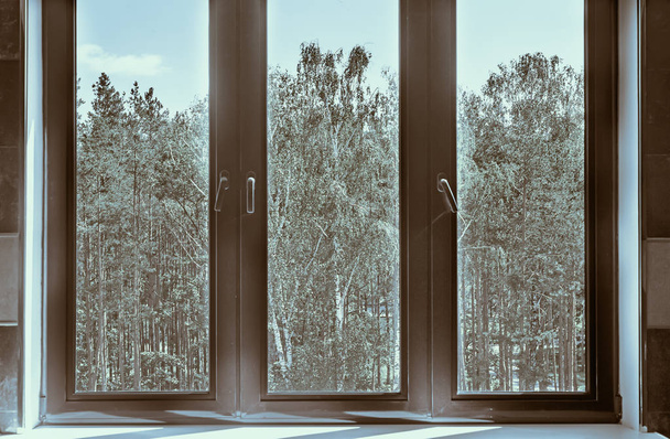 Um fragmento de uma janela com vista para o Parque
. - Foto, Imagem