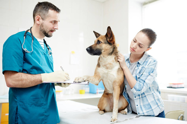 Roztomilý pes drží jednu tlapu na lékařském dokumentu, zatímco veterinář dělá poznámky - Fotografie, Obrázek