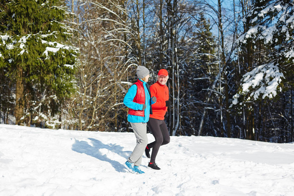 Actieve senior echtgenoten hebben sporttrainingen op warme winterdag onder firtrees in de sneeuw - Foto, afbeelding