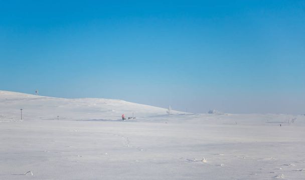 Μια όμορφη έξι σκυλί ομάδα τραβώντας ένα έλκηθρο στο όμορφο τοπίο το πρωί Νορβηγία. Χειμερινά σπορ, για τους εραστές σκυλιών. Sunny, ομίχλη το πρωί. - Φωτογραφία, εικόνα