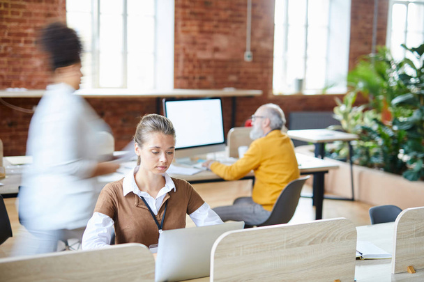 junge ernsthafte Geschäftsfrau konzentriert sich auf die Arbeit, während sie im Büroumfeld im Laptop Online-Daten durchsieht - Foto, Bild