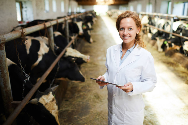 Портрет веселой женщины-ветеринара, улыбающейся, глядя в камеру при использовании цифровой планшет, стоящий в коровнике современной молочной фермы, копировальное пространство
 - Фото, изображение