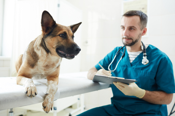 Perro enfermo en la mesa médica y veterinario joven en uniforme haciendo recetas médicas
 - Foto, imagen