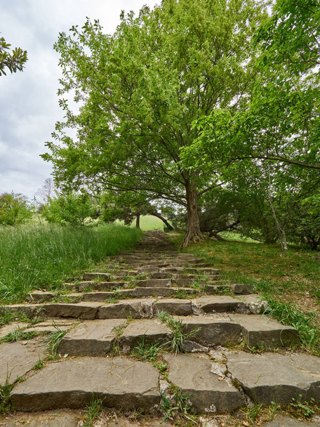 Old steps in the green park. - Fotoğraf, Görsel