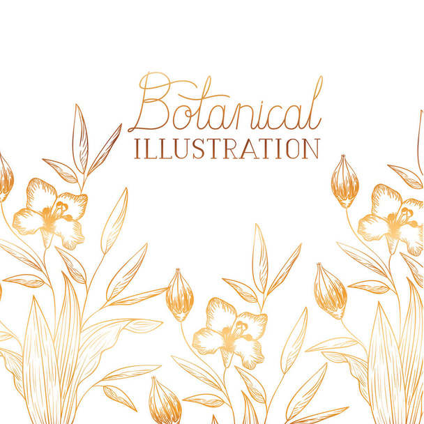 etiqueta de ilustración botánica con plantas
 - Vector, Imagen