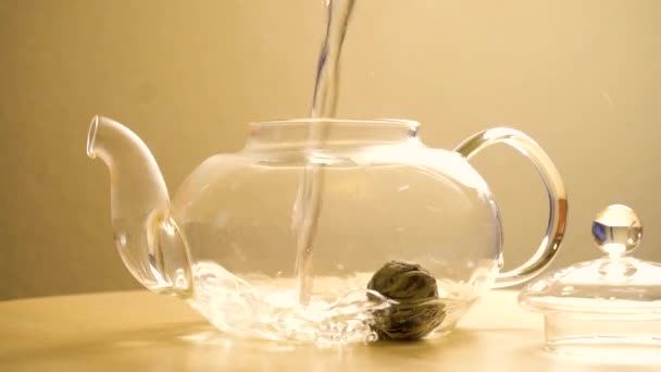 Brewing green tea in tea pot - Footage, Video