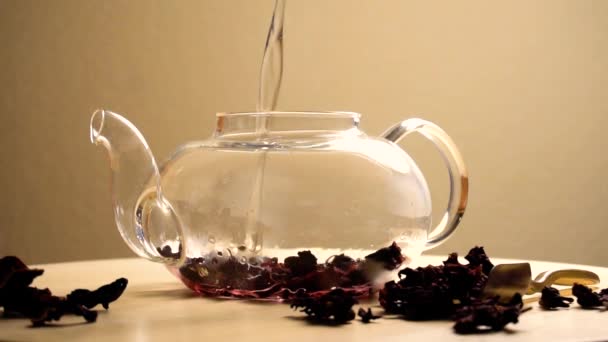 Egyiptomi piros karkade teát teáskanna - Felvétel, videó