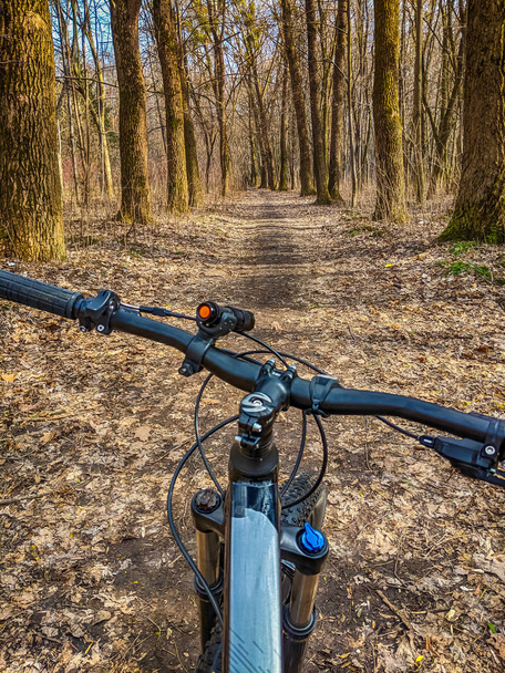 MTB bicycle on the trail in the spring season - Photo, Image