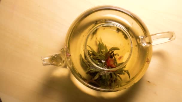 Spinning čajník s zelený čaj uvnitř - Záběry, video