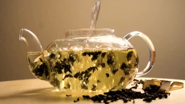 Víz ömlött a teáskanna zöld tea - Felvétel, videó