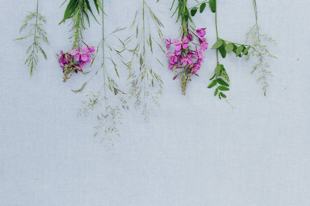 Beautiful wildflowers, artistic background - Foto, imagen