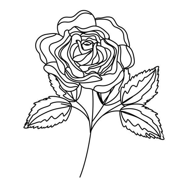 Flower with leaves drawing - Vecteur, image