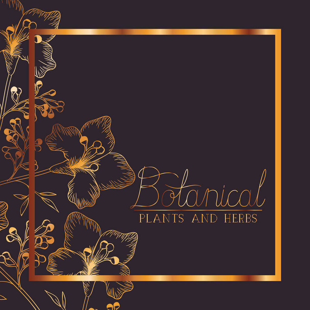 botanical label with plants and herbs - Vector, Image
