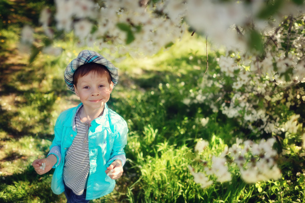 boy in a lush garden - Foto, Imagen