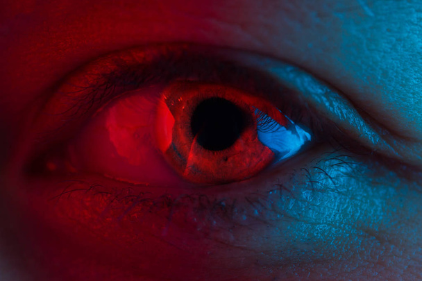 Red Blood Eye - Valokuva, kuva