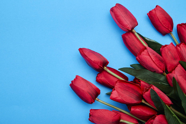 Red Tulips flowers on blue background - Zdjęcie, obraz